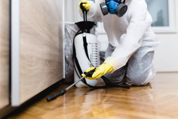 Best Bed Bug Extermination  in Hillsbo, OR