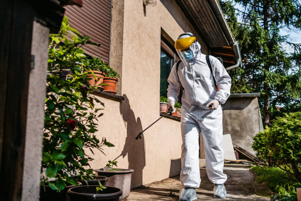 Bird Control in Hillsboro, OR
