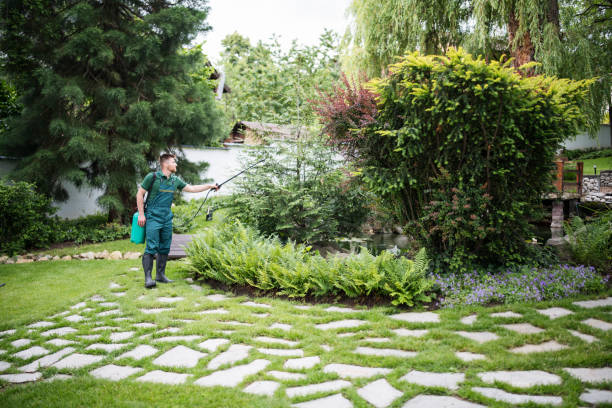 Best Affordable Pest Control Services  in Hillsbo, OR