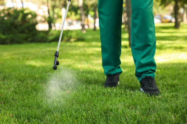 Best Spider Control Near Me  in Hillsbo, OR