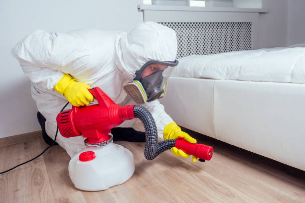 Reliable Hillsboro, OR Pest Control Solutions