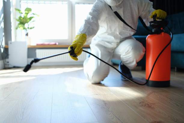 Reliable Hillsboro, OR Pest Control Solutions