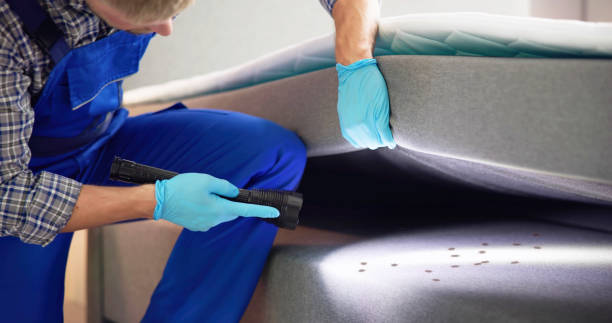 Best Emergency Pest Control  in Hillsbo, OR