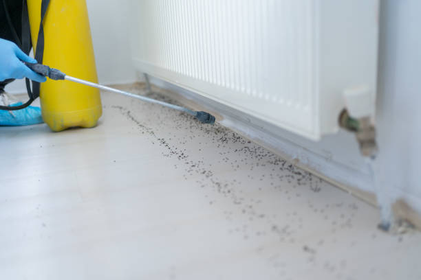 Best Pest Control Treatment  in Hillsbo, OR