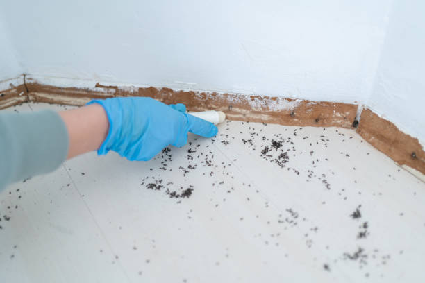 Best Wildlife Control Services  in Hillsbo, OR